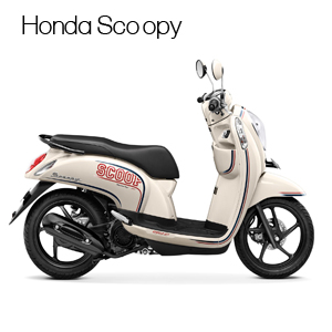 scoopy